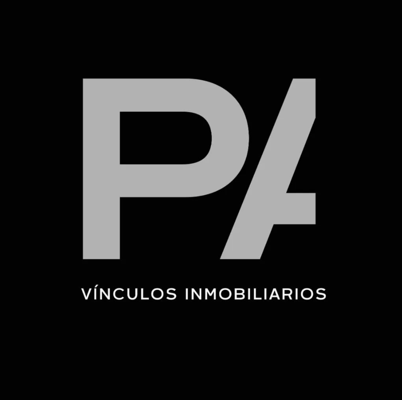 PA Vínculos Inmobiliarios